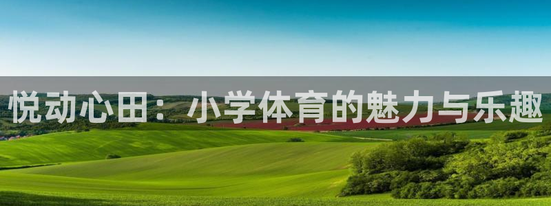 z66体育app下载