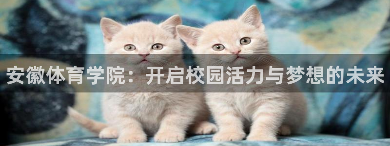 z66体育全站官网