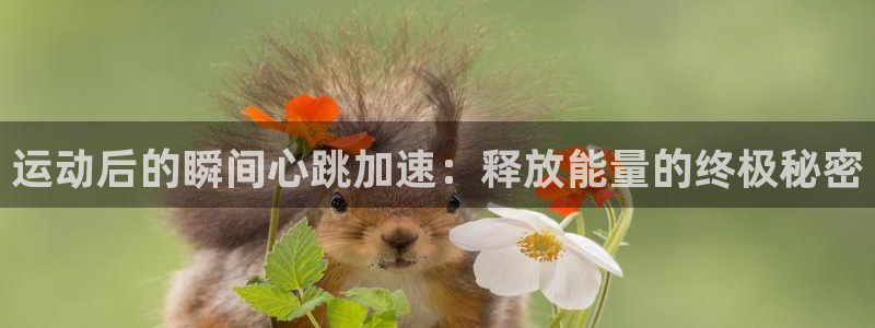 Z66体育官方网站