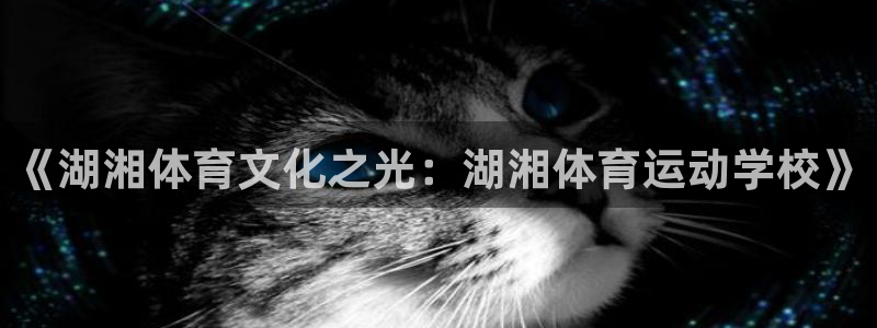 z66体育平台