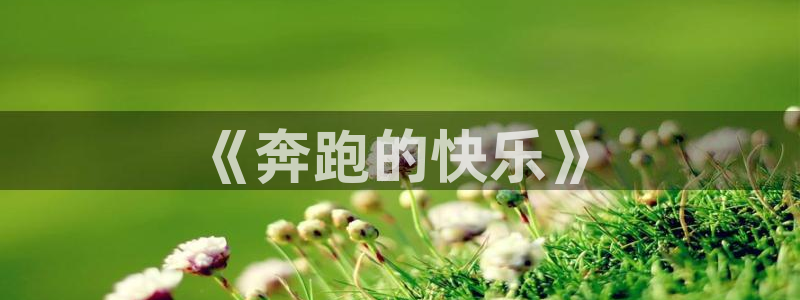 Z66体育cz：《奔跑的快乐》